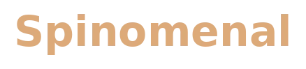 Spinomenal games